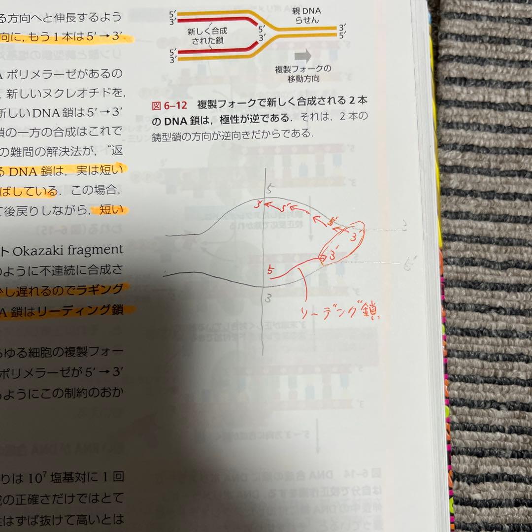 Essential細胞生物学 五訂版