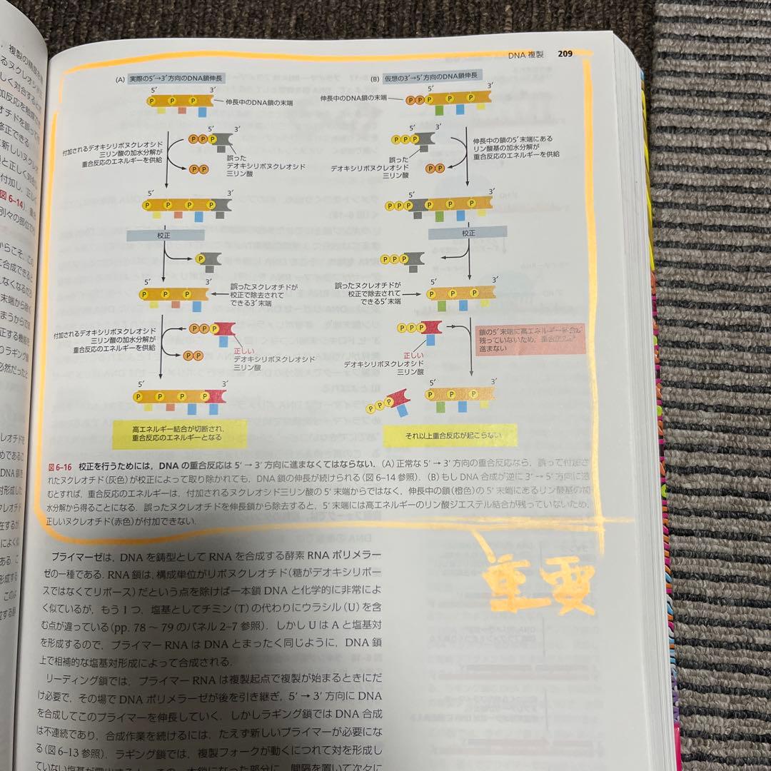 Essential細胞生物学 五訂版