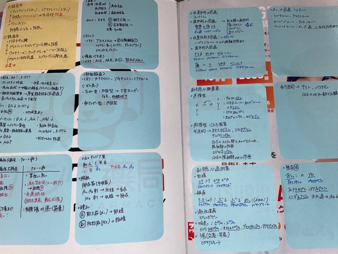 第111回薬剤師国家試験対策参考書 青本・青問