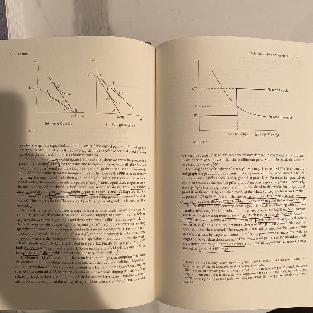 洋書 Advanced International Trade 2nd edition
