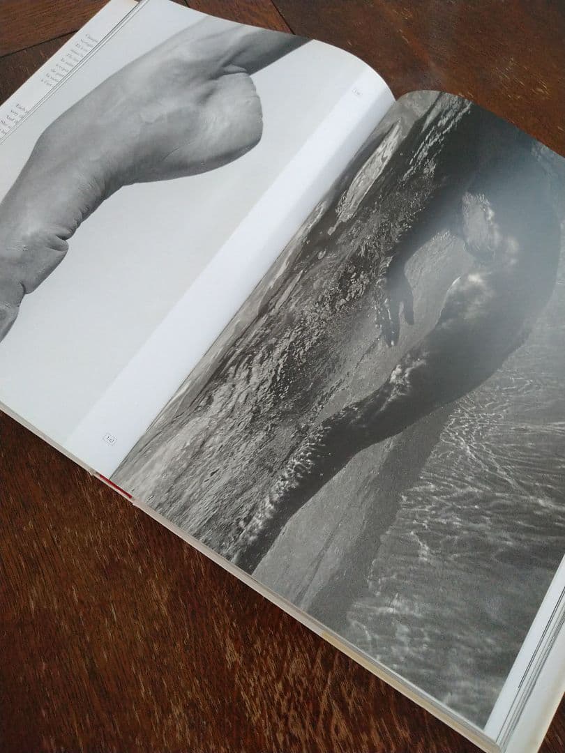 Invitation: Sylvie Guillem　シルヴィ・ギエム写真集