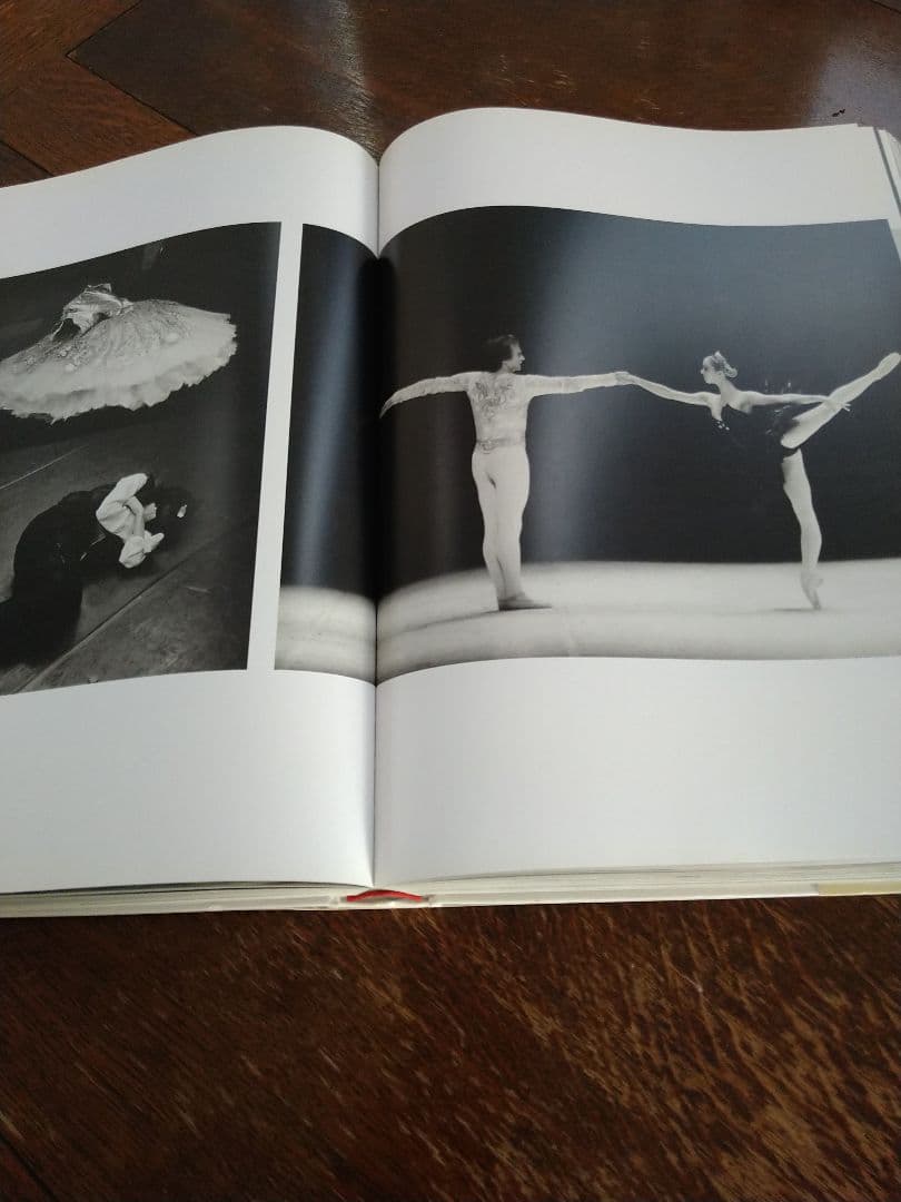 Invitation: Sylvie Guillem　シルヴィ・ギエム写真集