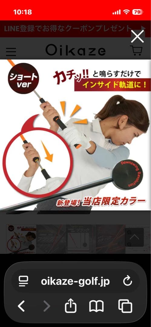 スイングモンスター TYPE H
