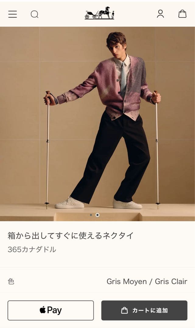 美品 エルメス ハイブランド ネクタイ 馬蹄 グレー 高級 シルク 現行