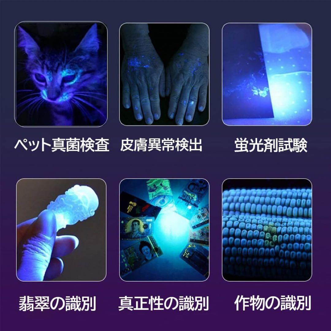 紫外線ブラックライト強力 UV LEDライト波長365nm C型USBアニサキス