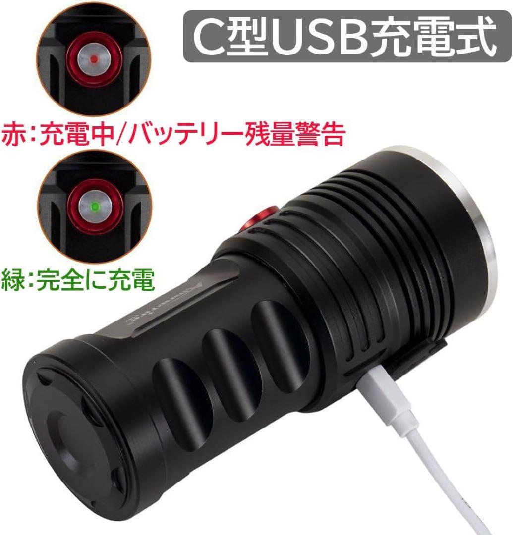 紫外線ブラックライト強力 UV LEDライト波長365nm C型USBアニサキス