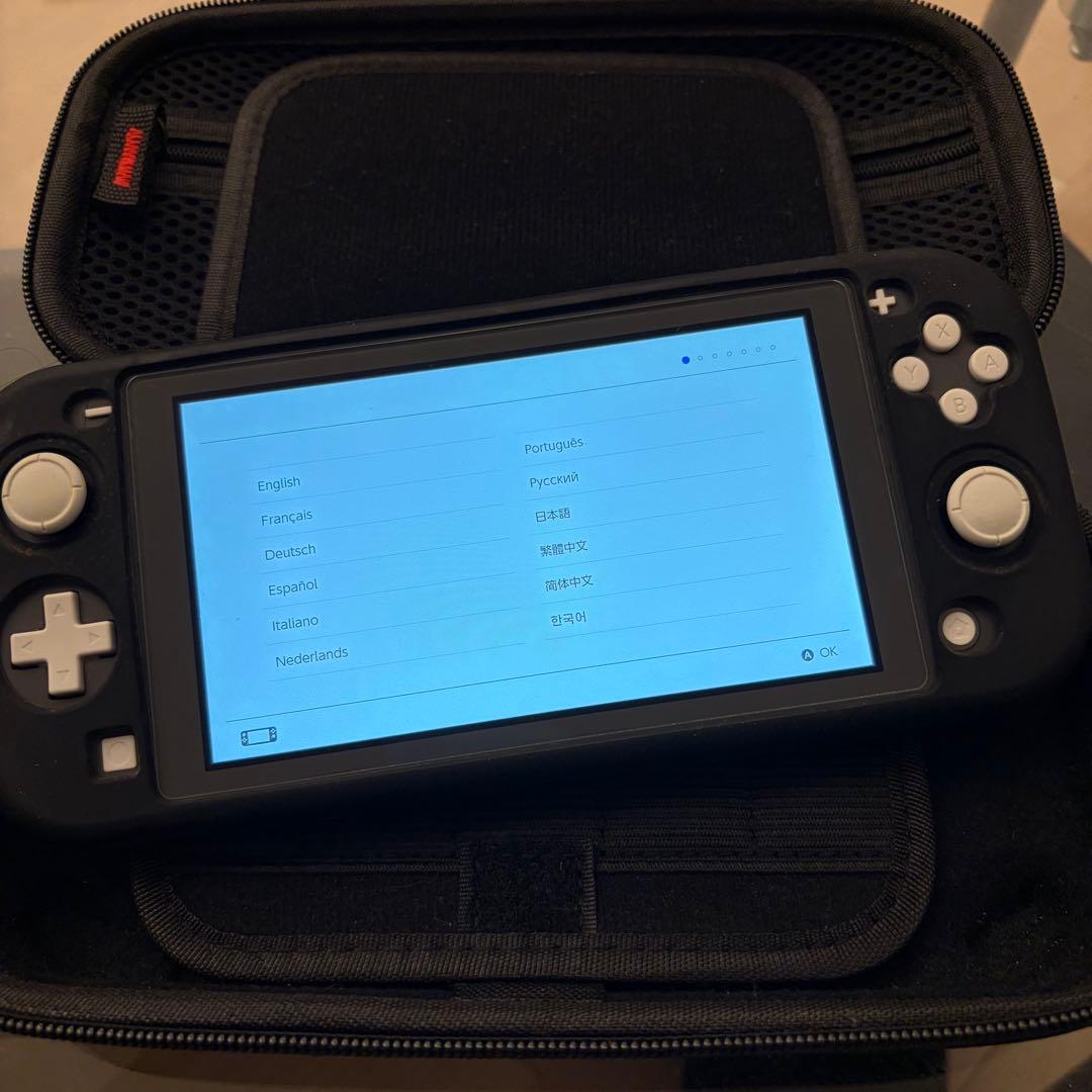 Nintendo Switch Lite グレー ケース付き