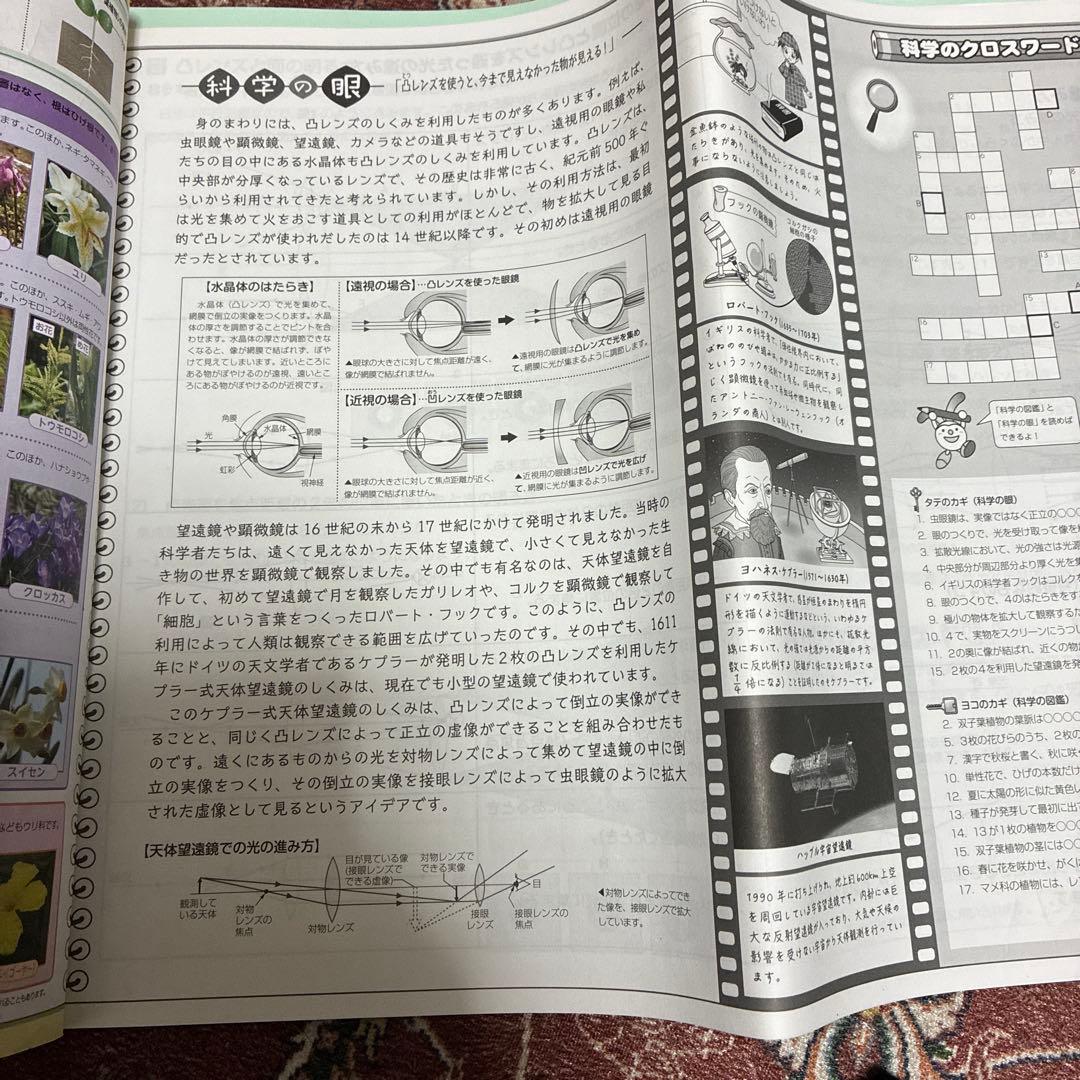 小5、6 デイリーサピックスとサマーサピックス