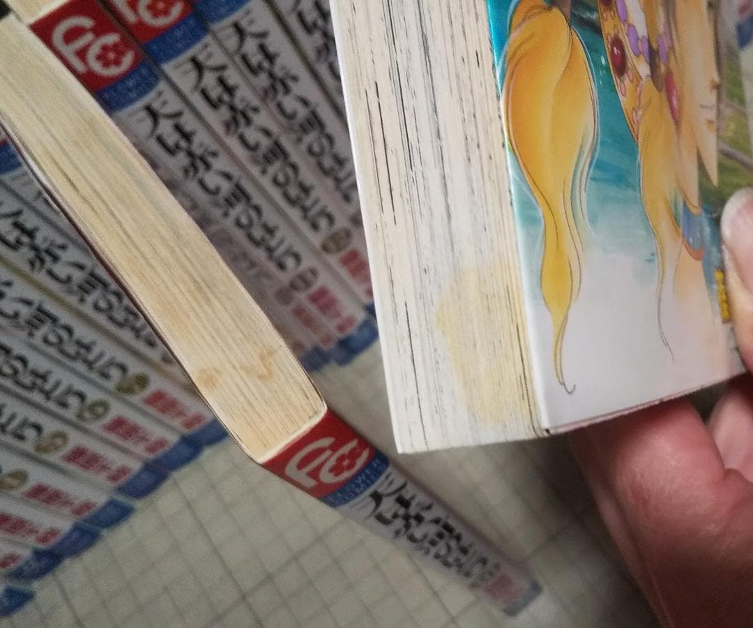 天は赤い河のほとり 全28巻 完結 篠原千絵 小学館 アニメ化