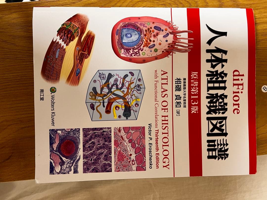 di Fiore人体組織図譜