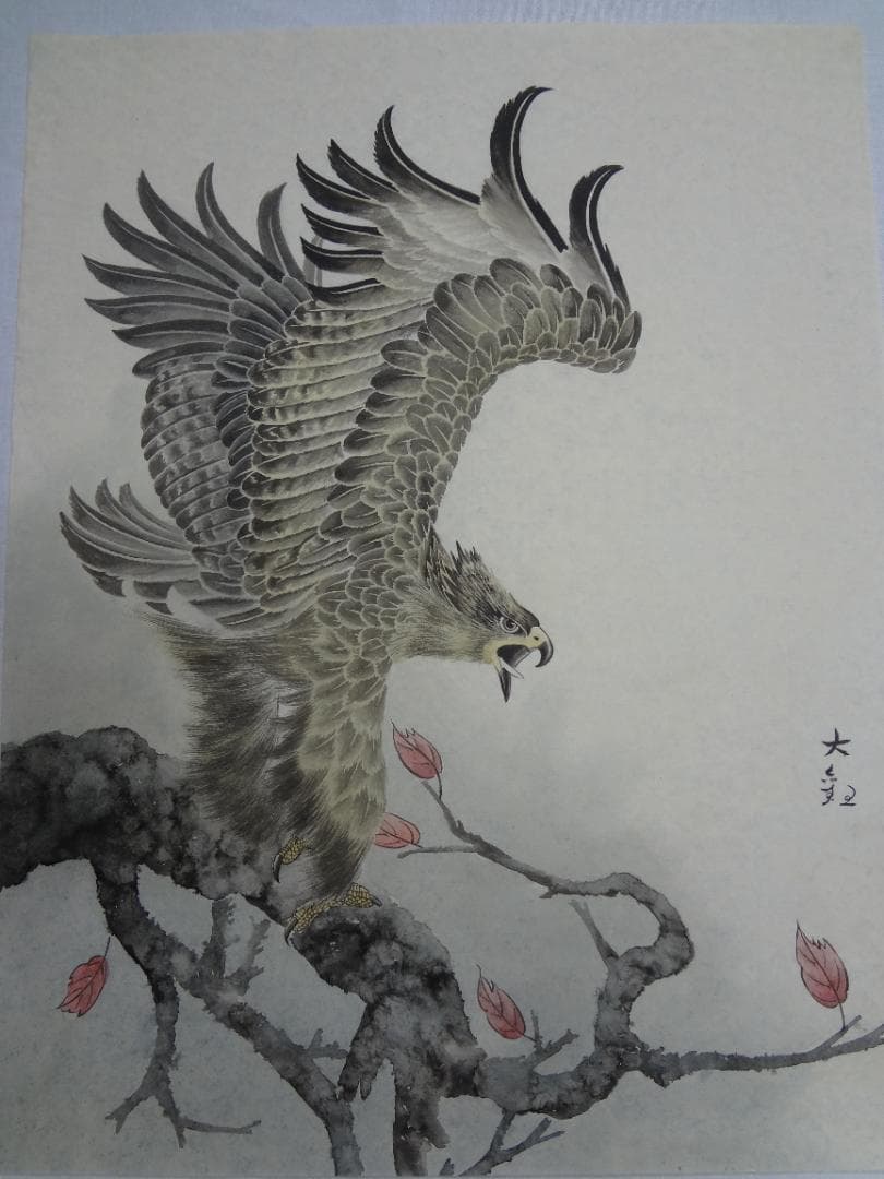 サ*バ様 横山大観 鷹図 鷲図 1920年頃 肉筆水彩画 浮世絵 日本画　紙本著