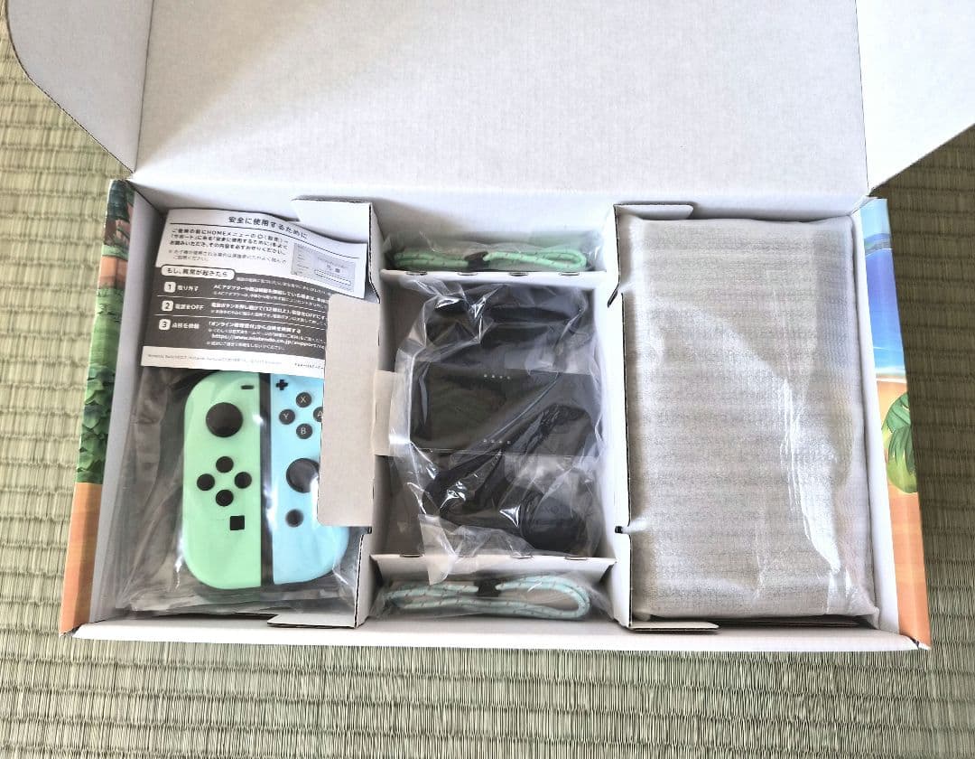Nintendo Switch本体 あつまれどうぶつの森 デザイン 限定 あつ森