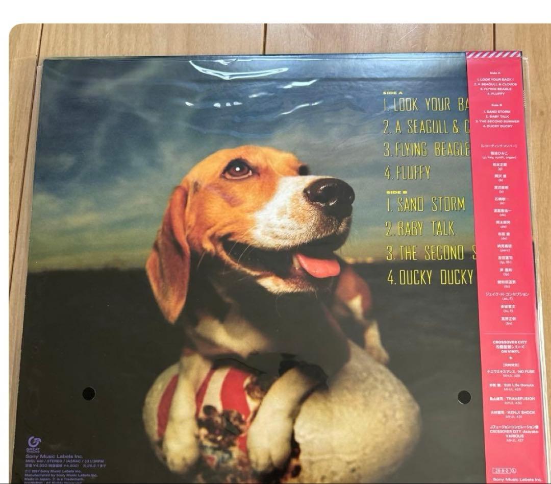 FLYING BEAGLE LPレコード ジャズ シティポップ　菊池ひみこ