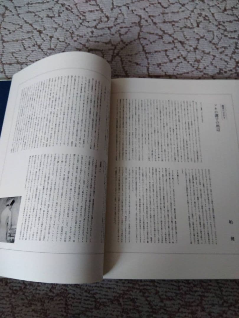 世界美術全集　印象派の画家たち