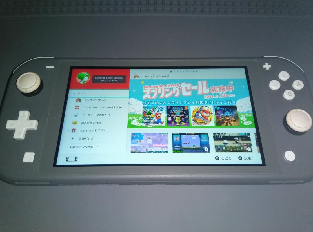 Nintendo Switch Lite グレー 本体 + ソフト3本セット