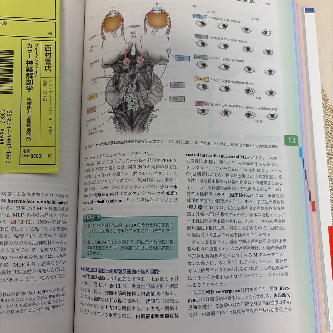 【帯付き未使用】ブルーメンフェルト カラー神経解剖学 臨床例と画像鑑別診断