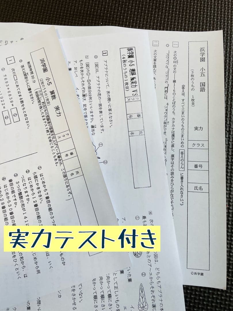 3浜学園　小5  2023年度　公開学力テスト 4科目　成績資料付き