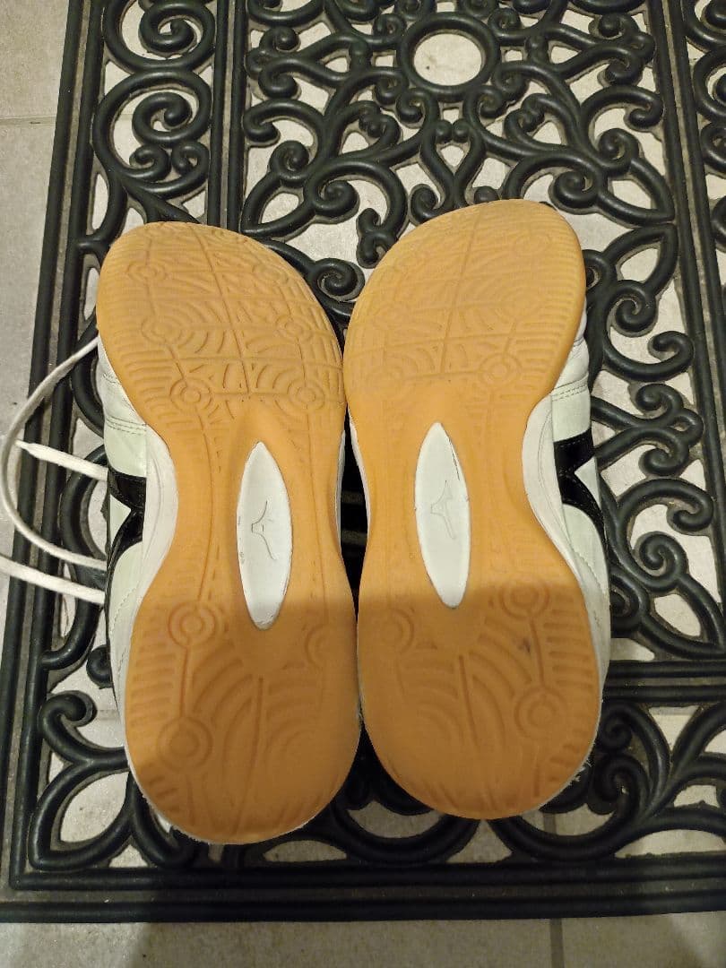 専用！25cm ミズノ モレリア イン MORELIA IN FUTSAL 室内