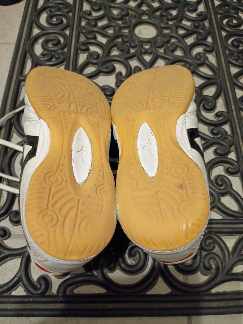 専用！25cm ミズノ モレリア イン MORELIA IN FUTSAL 室内