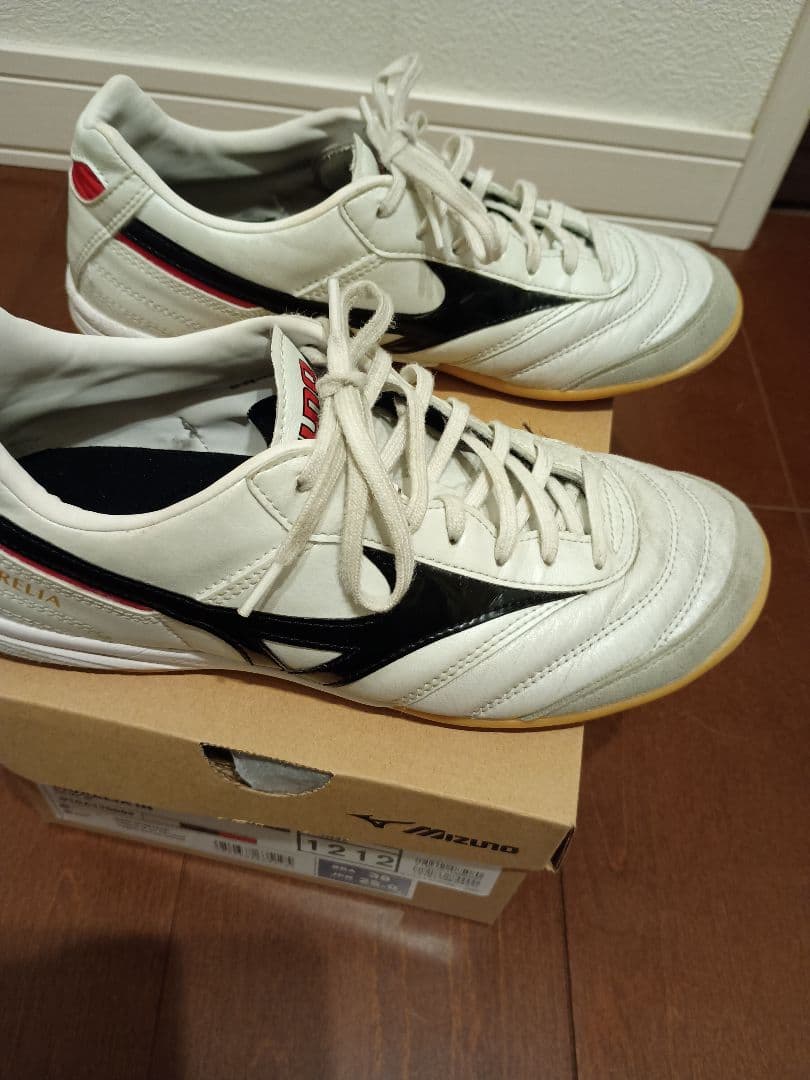 専用！25cm ミズノ モレリア イン MORELIA IN FUTSAL 室内