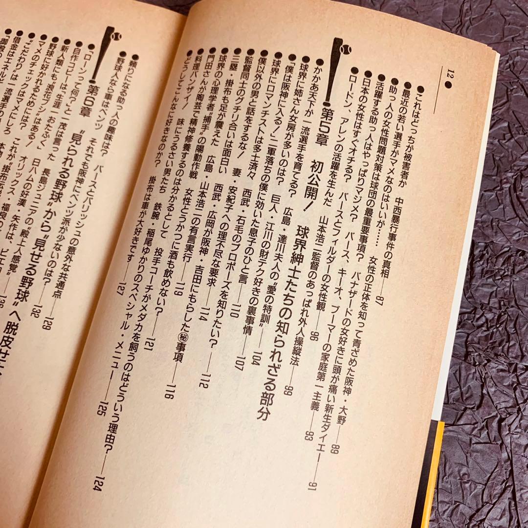 プロ野球 これはマイクでしゃべれない！/掛布雅之