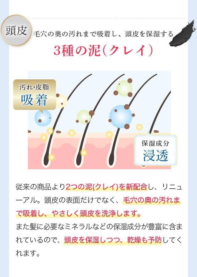 teshigawara 　ブラック　ナチュラル シャンプー