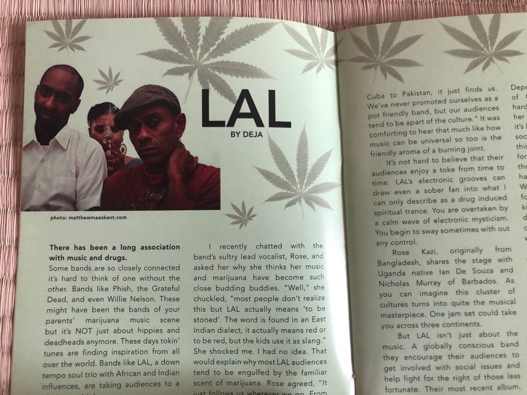 健康・医学 The Cannabible Collection (JASON KING)