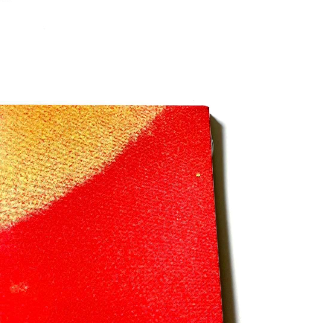 洋楽 Tom Misch &Yussef Dayes/What Kinda Music