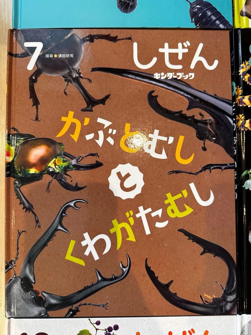 しぜん 絵本シリーズ 全12巻セット　フレーベル館　キンダーブック