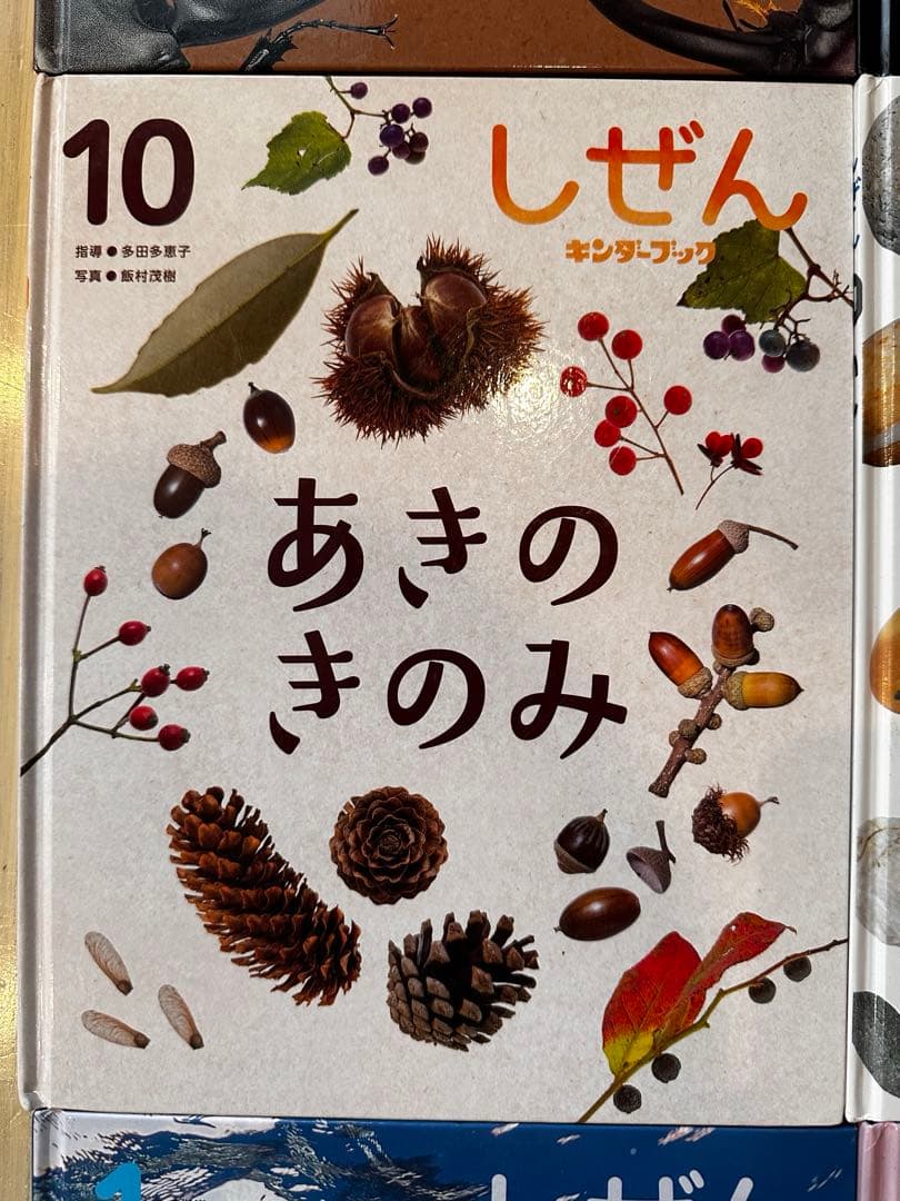 しぜん 絵本シリーズ 全12巻セット　フレーベル館　キンダーブック