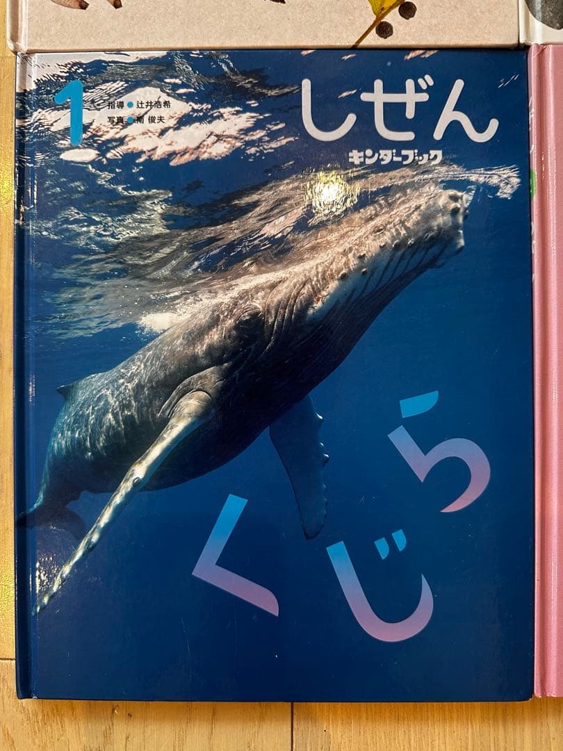 しぜん 絵本シリーズ 全12巻セット　フレーベル館　キンダーブック