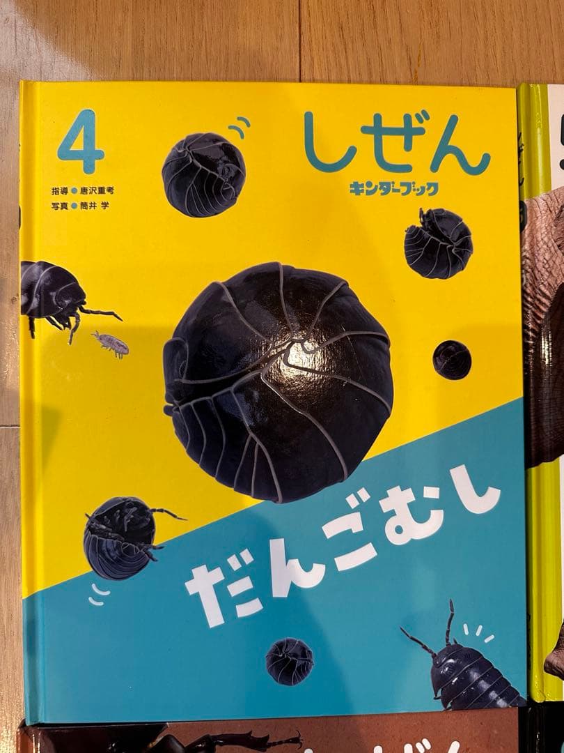 しぜん 絵本シリーズ 全12巻セット　フレーベル館　キンダーブック