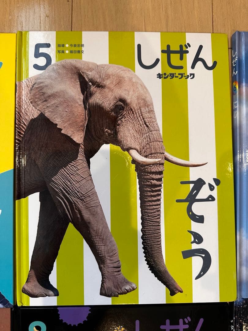 しぜん 絵本シリーズ 全12巻セット　フレーベル館　キンダーブック