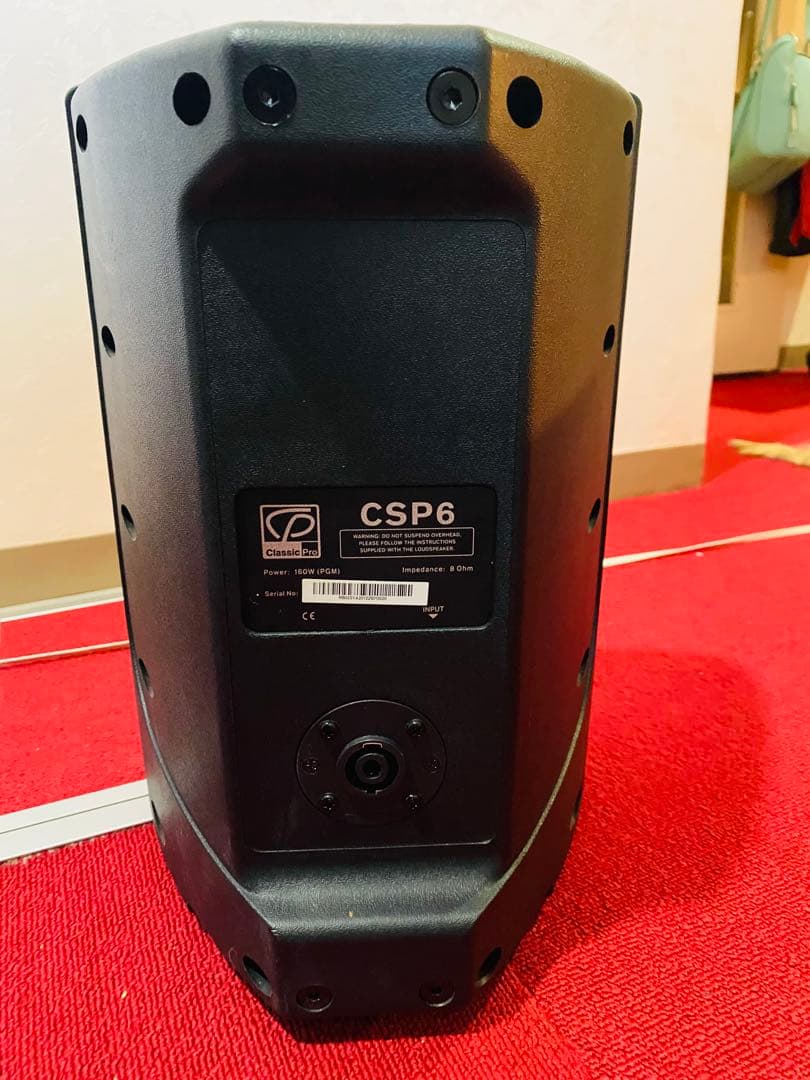 Classic PRO PAスピーカー CSP6 ペア ブラック　接続ケーブル付