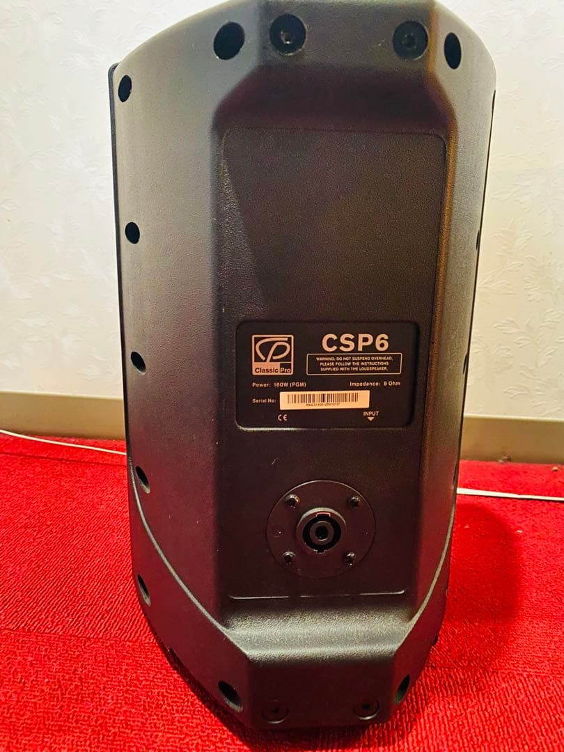Classic PRO PAスピーカー CSP6 ペア ブラック　接続ケーブル付