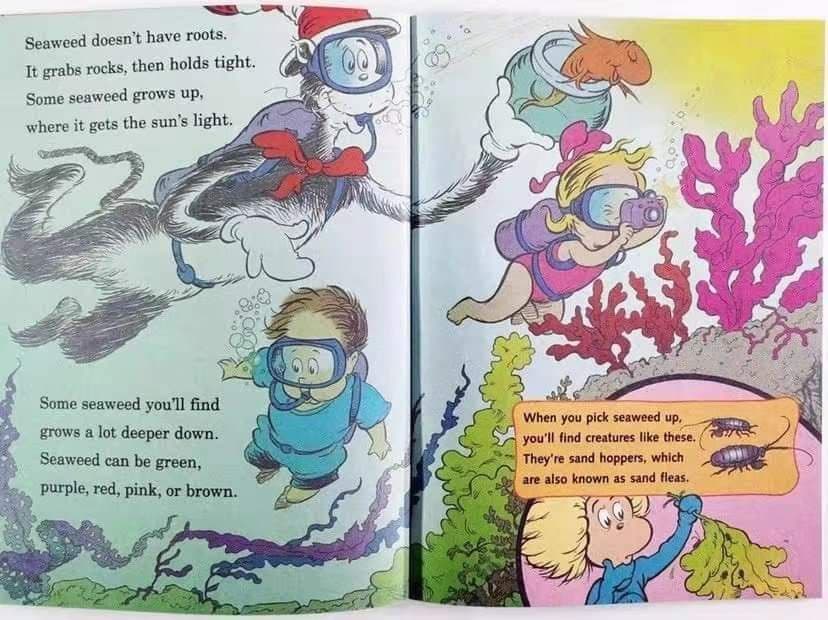 新品 Dr.seuss ドクタースース 英語絵本33冊