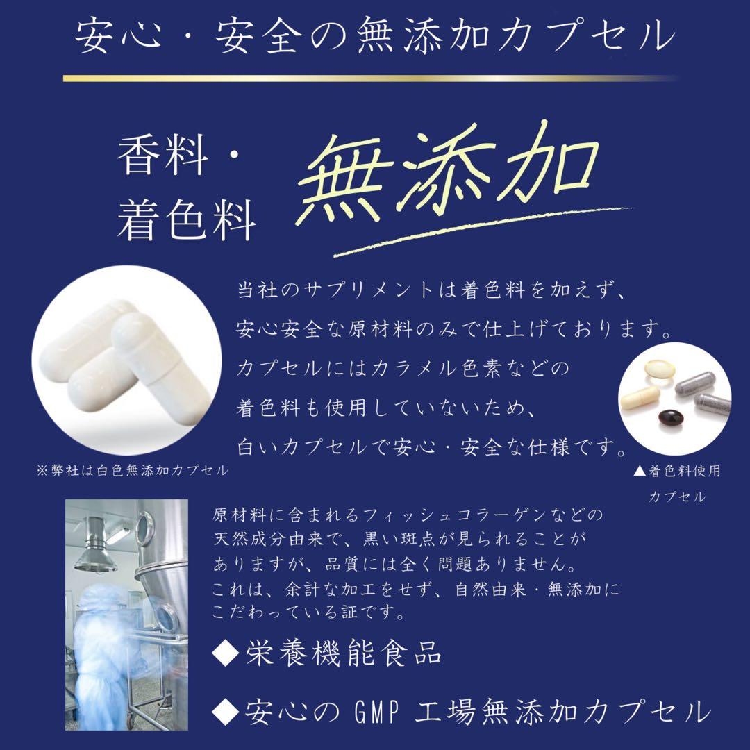 mizzo 11　白玉グルタチオン×2袋