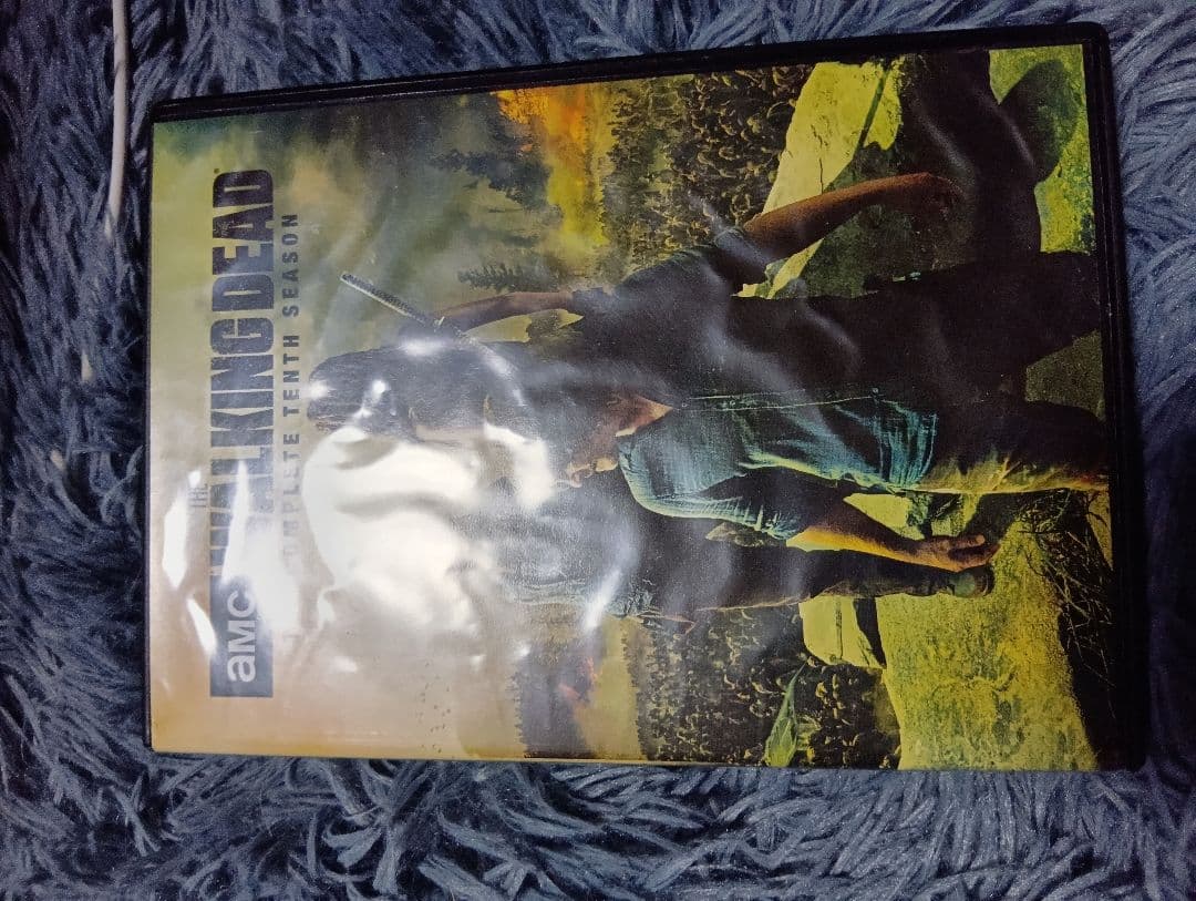 洋画・外国映画 The Walking Dead: The Tenth Season