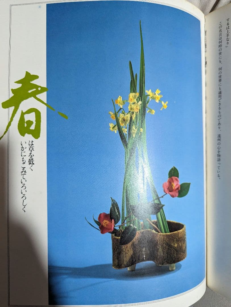 【レア】　四季にいける二一〇の秘訣