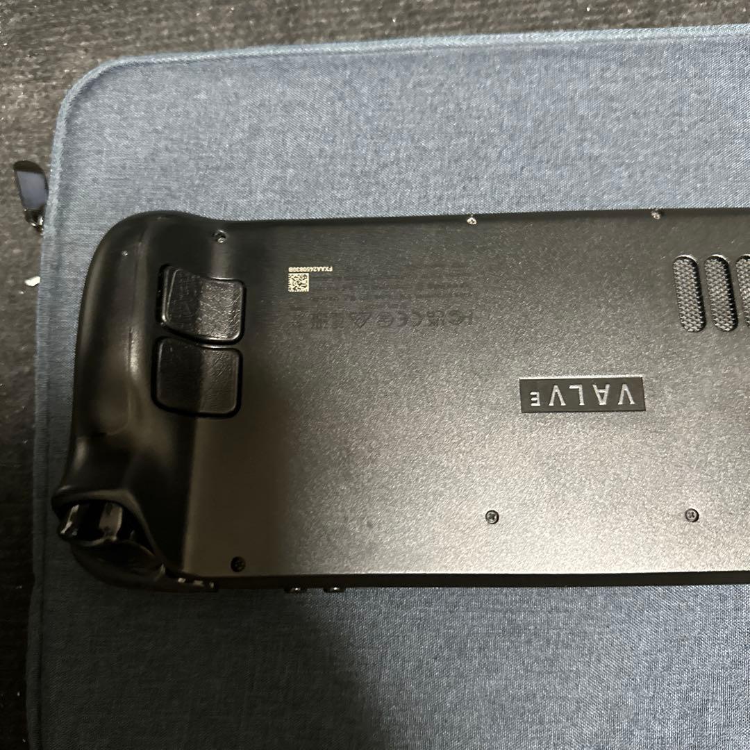 steamdeck LCD 64->1tb 増設品