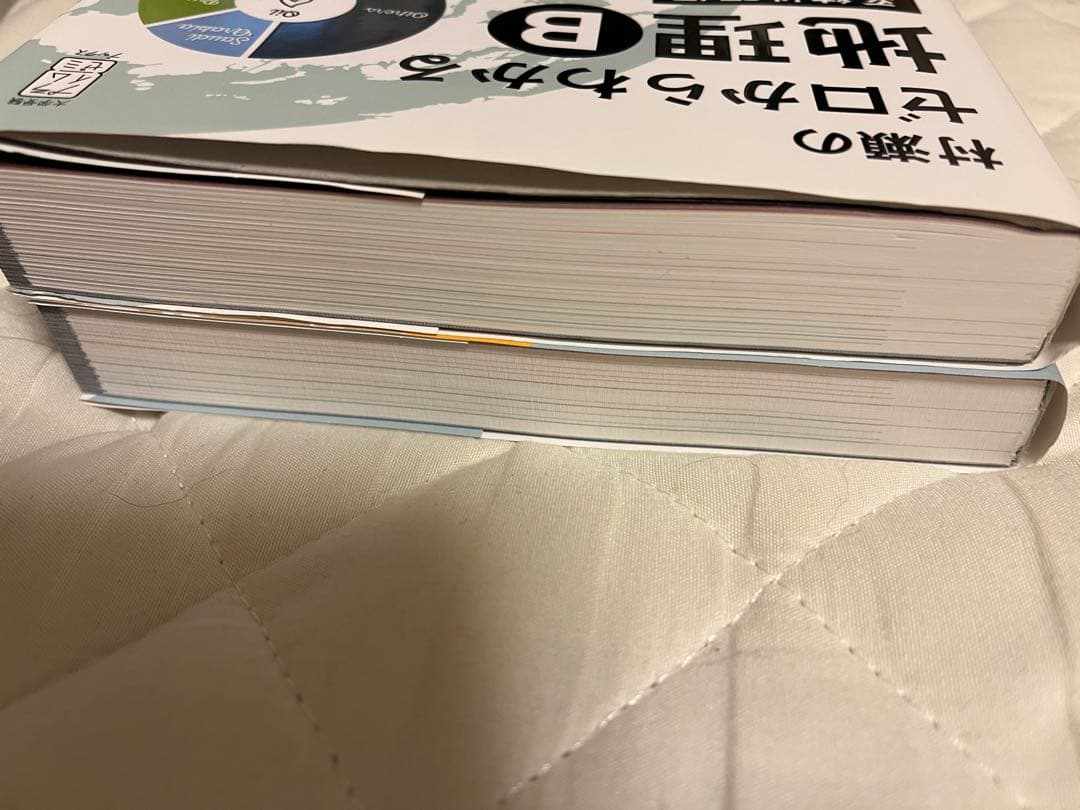 【値下げ可】 村瀬のゼロからわかる地理B 2冊セット