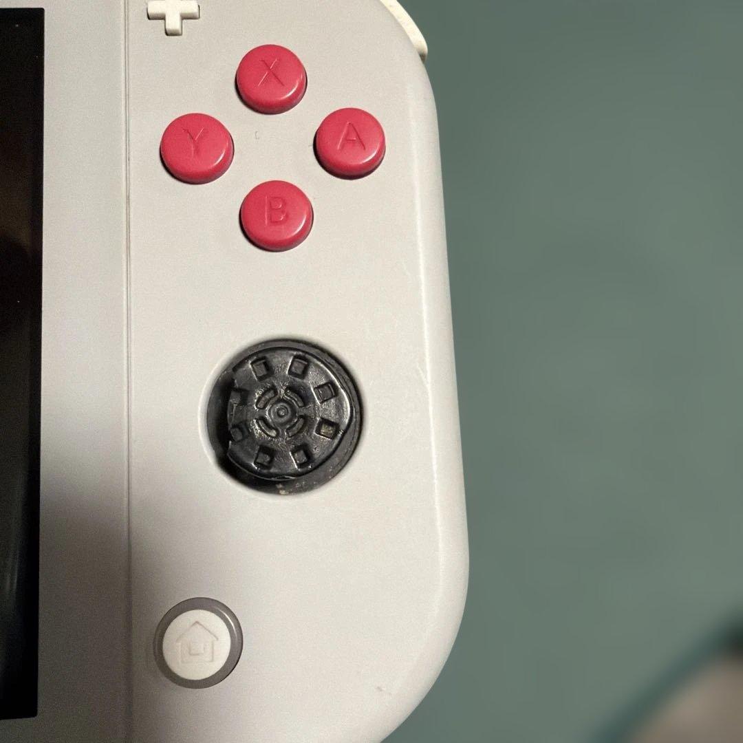 Nintendo Switch Lite ポケモン 本体のみ ジャンク品