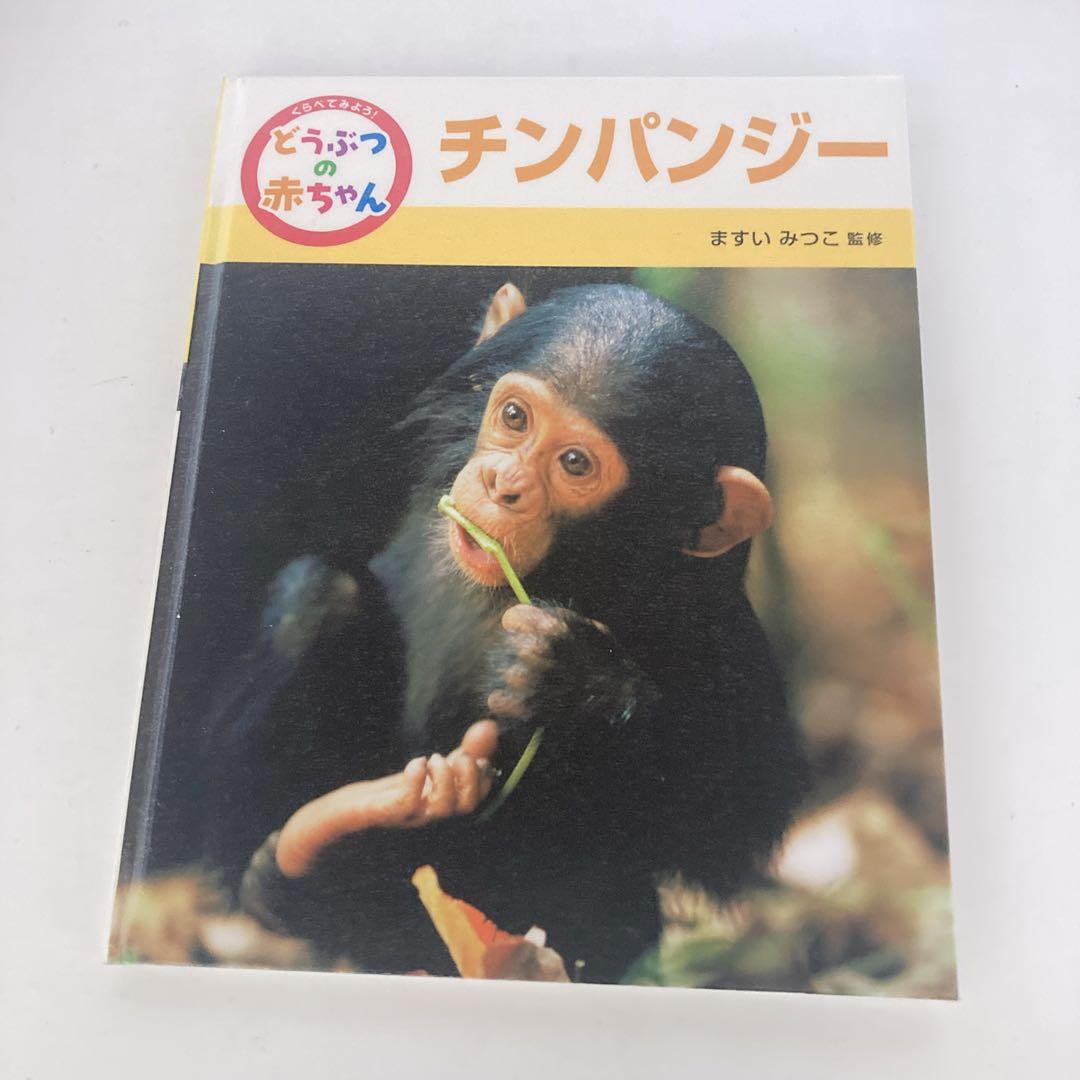くらべてみよう！ どうぶつの赤ちゃん ますいみつこ ポプラ社 絵本