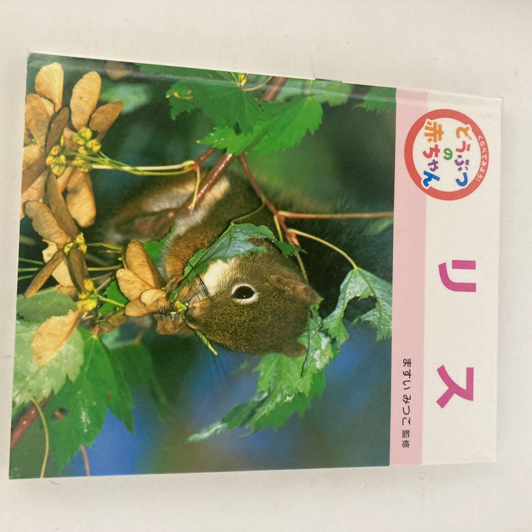 くらべてみよう！ どうぶつの赤ちゃん ますいみつこ ポプラ社 絵本