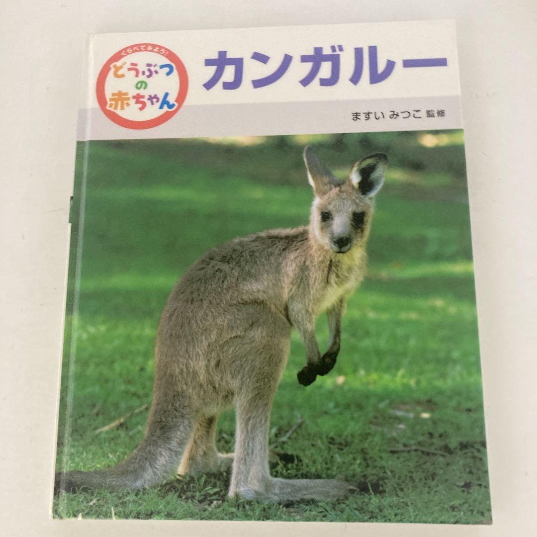 くらべてみよう！ どうぶつの赤ちゃん ますいみつこ ポプラ社 絵本