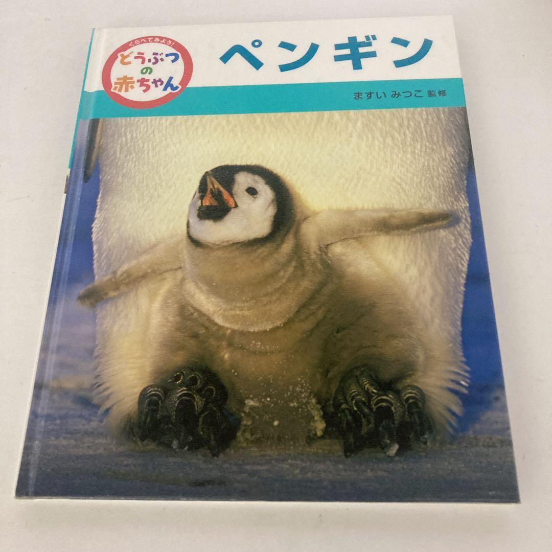 くらべてみよう！ どうぶつの赤ちゃん ますいみつこ ポプラ社 絵本
