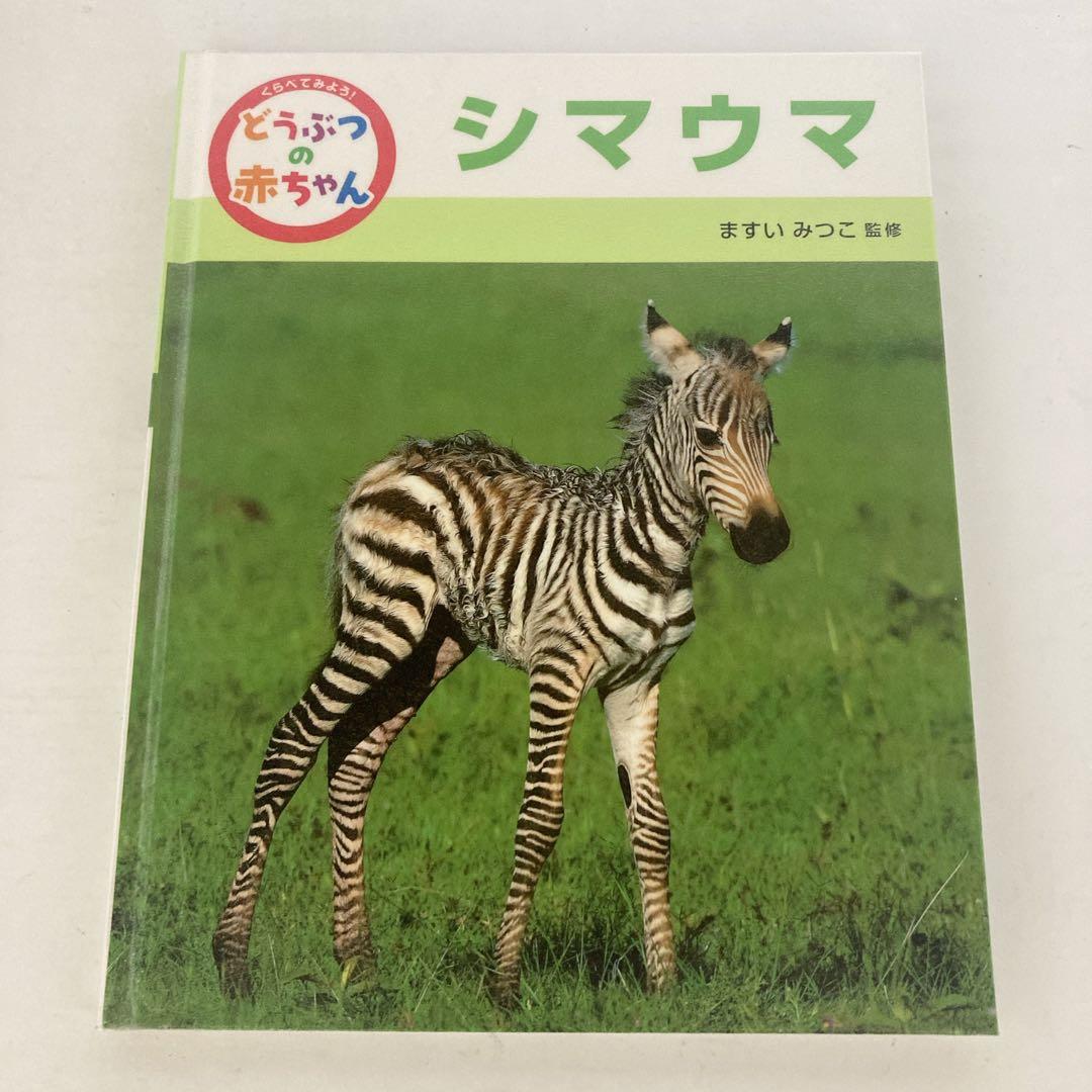 くらべてみよう！ どうぶつの赤ちゃん ますいみつこ ポプラ社 絵本