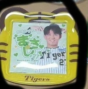 キティ