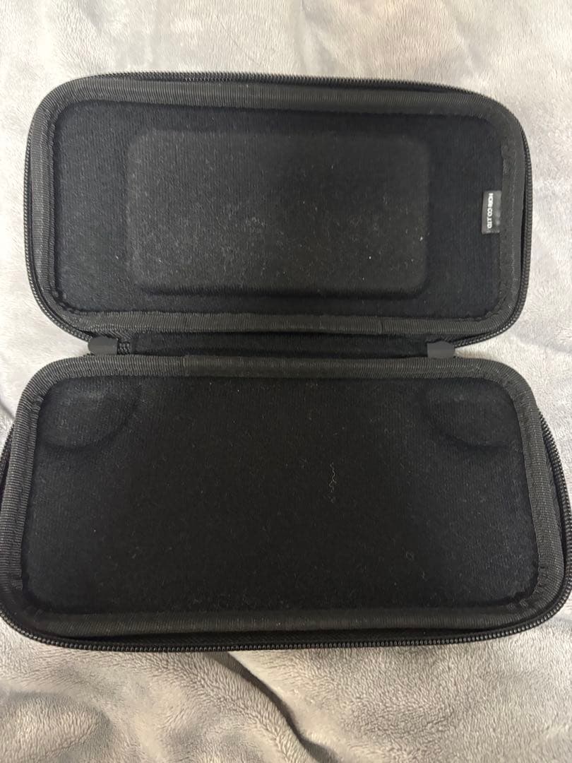 Nintendo Switch Lite ケース、SDカード256GB付