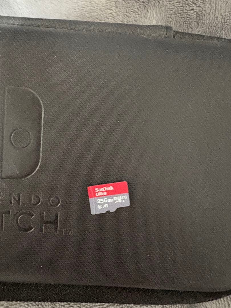 Nintendo Switch Lite ケース、SDカード256GB付
